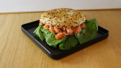Bagel thon & saumon mariné