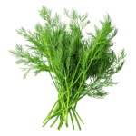 AVEC Aneth  (+ 0.20 €)