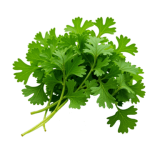 Coriandre sans sésame (+ 0.20 €) 